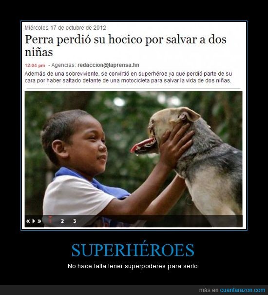 superhéroes reales,salva niñas,perra,el mejor amigo del hombre